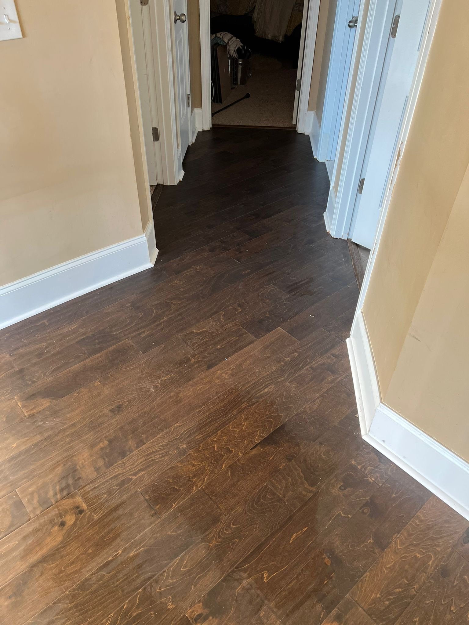 12734032-a2e5-4791-be11-d5d548d5e75a